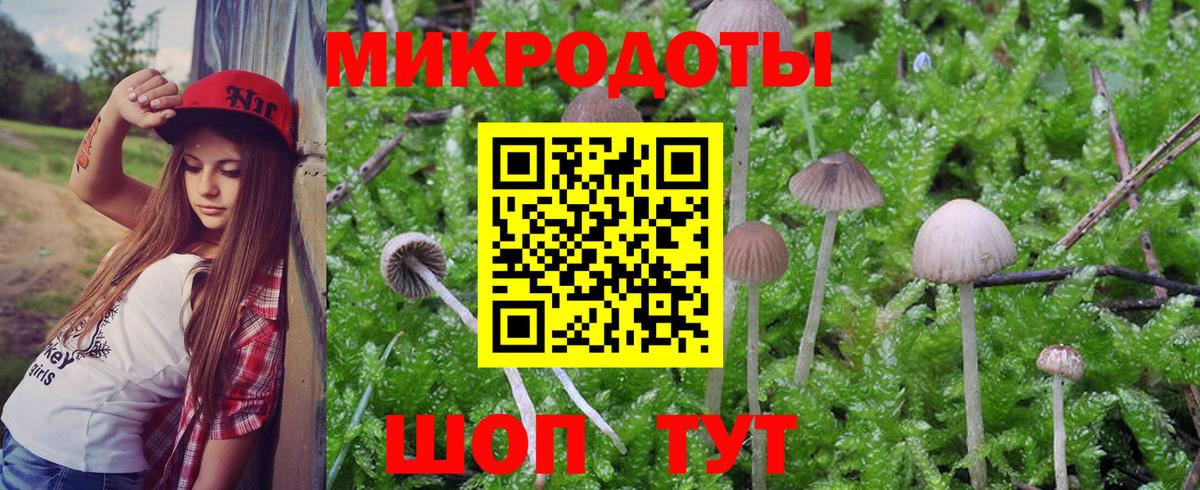 Галлюциногенные грибы GOLDEN TEACHER  Галлюциногенные грибы ЛСД  Верхний Уфалей  Вход с VPN 